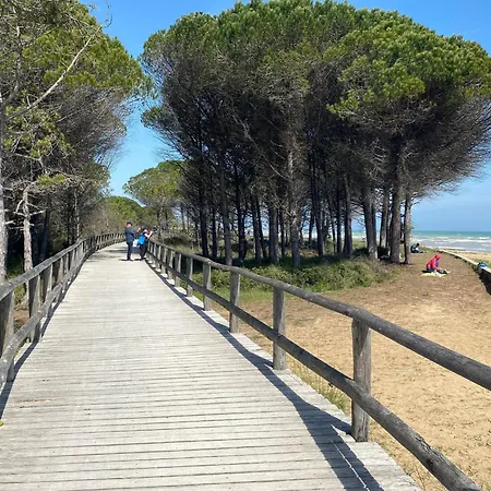 Bright Flat With Shared Garden * Bibione