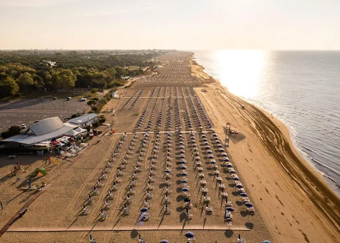 Apartment Bright Flat With Shared Garden